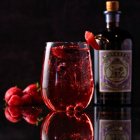 GIN & TONIC FRUTOS ROJOS 45ml